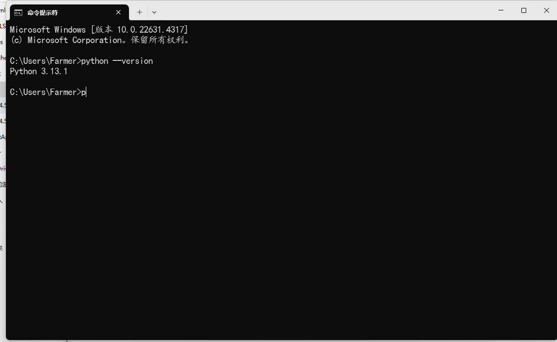 image-20241213104034991